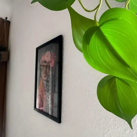 Apartmán Chez Gala Collioure