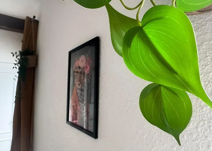 Διαμέρισμα Chez Gala Κολιούρ